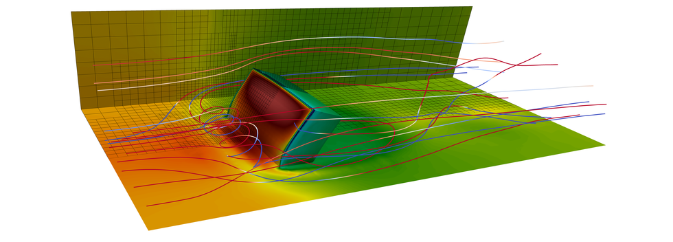 Fluid-Structure Interactions